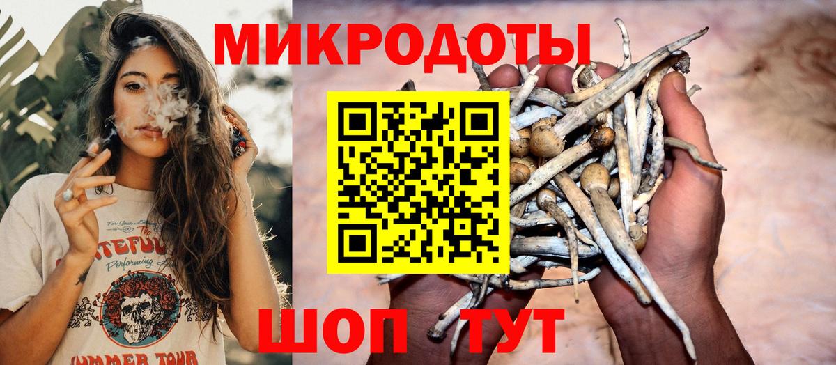 дарнет шоп  Галлюциногенные грибы MAGIC MUSHROOMS  Вход с VPN  Джанкой 